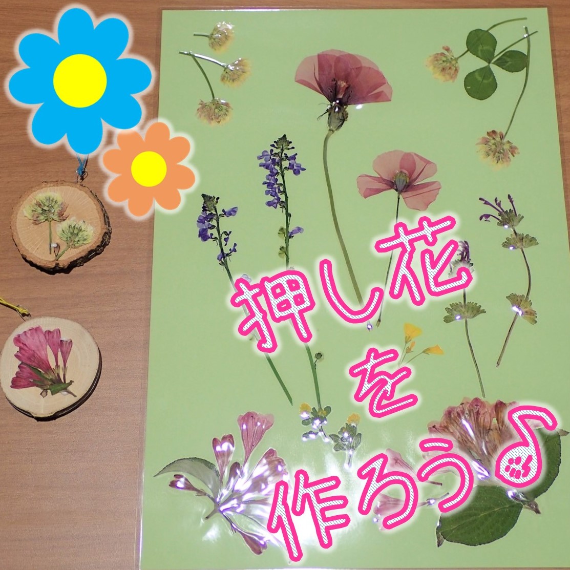 押し花 / きめ細かく みーる様